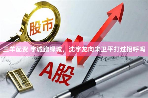 三羊配资 宇诚蹭绿城，沈宇龙向宋卫平打过招呼吗